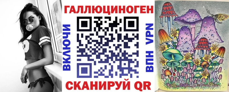 omg как зайти  Курган  Галлюциногенные грибы Psilocybe 